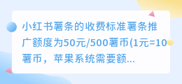 购买小红书薯条需要多久才能通过审核