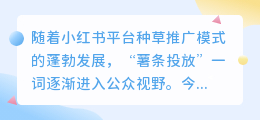 小红书薯条是什么意思?如何使用薯条?