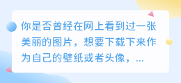 食物链图片去水印小程序的秘密:轻松去除图片水印的方法