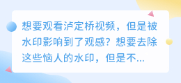 根据您的关键词组合，我建议的标题是：[视频去水印软件推荐] 如何轻松去除泸定桥视频的水印？