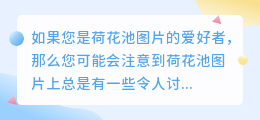 消除荷花池图片水印的神奇方法:利用PS软件