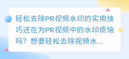 轻松去除PR视频水印的实用技巧