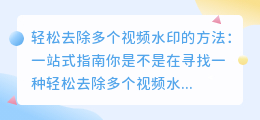 轻松去除多个视频水印的方法:一站式指南