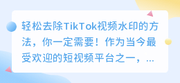 如何轻松去除TikTok视频水印，这个方法你一定需要！