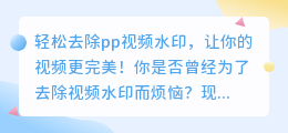 轻松去除pp视频水印的方法