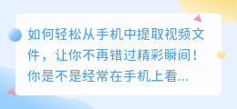 如何轻松从手机中提取视频文件,让你不再错过精彩瞬间!