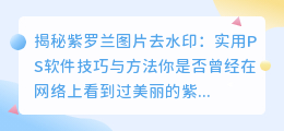揭秘紫罗兰图片去水印:实用PS软件技巧与方法