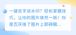 如何一键去字说水印?的简单教程