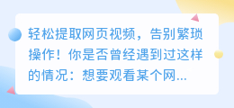 轻松提取网页视频,告别繁琐操作!
