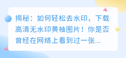 黄柚去水印下载方法