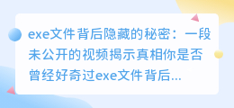 exe文件背后隐藏的秘密:一段未公开的视频揭示真相