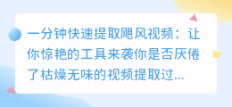 一分钟快速提取飓风视频：让你惊艳的工具来袭