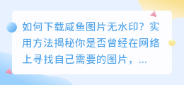 如何下载咸鱼图片无水印?实用方法揭秘