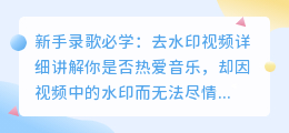 新手录歌必学:去水印视频详细讲解