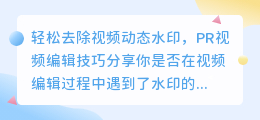 轻松去除视频动态水印，PR视频编辑技巧分享