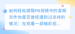 如何轻松提取PR视频中的音频文件