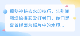 神秘去水印技巧,告别谢图烦恼