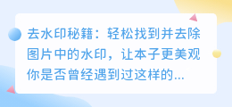 去水印秘籍:如何找到并去除图片中的水印,让本子更美观