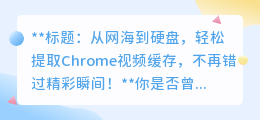 如何轻松提取Chrome视频缓存,不再错过精彩瞬间!