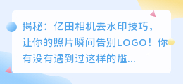 亿田相机去水印技巧：轻松告别照片上的LOGO