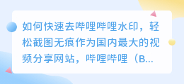 如何快速去哔哩哔哩水印，轻松截图无痕