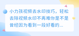小力孩视频去水印技巧,轻松去除视频水印不再难
