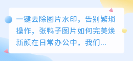 如何使用图片去水印软件去除张鸭子图片的水印?