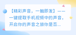 一键提取手机视频中的精彩声音,你还在等什么?