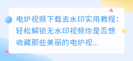 电炉视频下载去水印实用教程:轻松解锁无水印视频