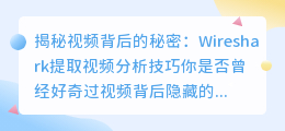 揭秘视频背后的秘密:Wireshark提取视频分析技巧