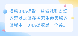 揭秘DNA提取:从微观到宏观的奇妙之旅