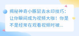 小豚鼠去水印视频方法详解