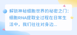 细胞RNA提取全过程：解锁神秘细胞世界的秘密之门