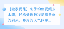 冬季钓鱼视频去水印,教你轻松处理