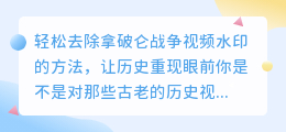 轻松去除拿破仑战争视频水印的方法