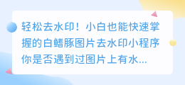 轻松去水印!小白也能快速掌握的白鳍豚图片去水印小程序