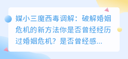 媒小三魔西毒调解:破解婚姻危机的新方法