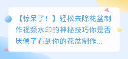 如何去除花盆制作视频水印的秘密方法