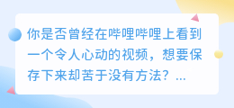 轻松掌握技巧:哔哩哔哩视频提取全攻略,一键下载心仪内容!