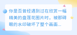 盘莲花图片去水印教程:轻松去除水印的疑问解答与实用方法