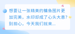 如何去除鳙鱼图片水印?PS去水印实用教程分享