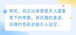 荷花图片去水印技巧：PS轻松搞定，教程详解！