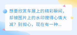 车展图片去水印教程:手机轻松操作,告别水印烦恼!