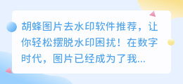 胡蜂图片去水印软件推荐:免费高效,轻松处理水印问题!