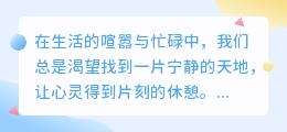 AI绘图惊艳呈现:萌趣小和尚,禅意满屏,创意无限!