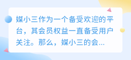 媒小三的会员支持多人共用吗？共享权益更便捷！