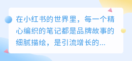 小红书代运营，专业打造热门笔记，助力品牌快速引流增长！