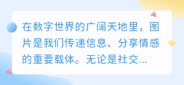 无痕去水印,轻松编辑图片——一键打造专属美图!
