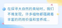 银杏提取物提取全过程:简单步骤与高效技巧一览