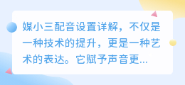 媒小三配音设置详解:轻松掌握,让声音更出彩!